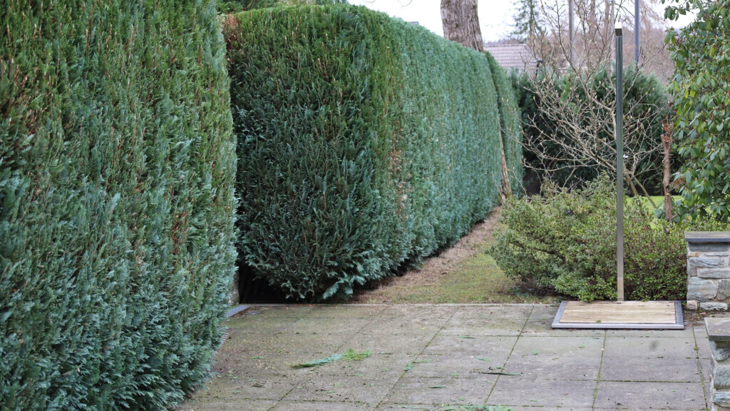 Bilder Daily Gartenpflege