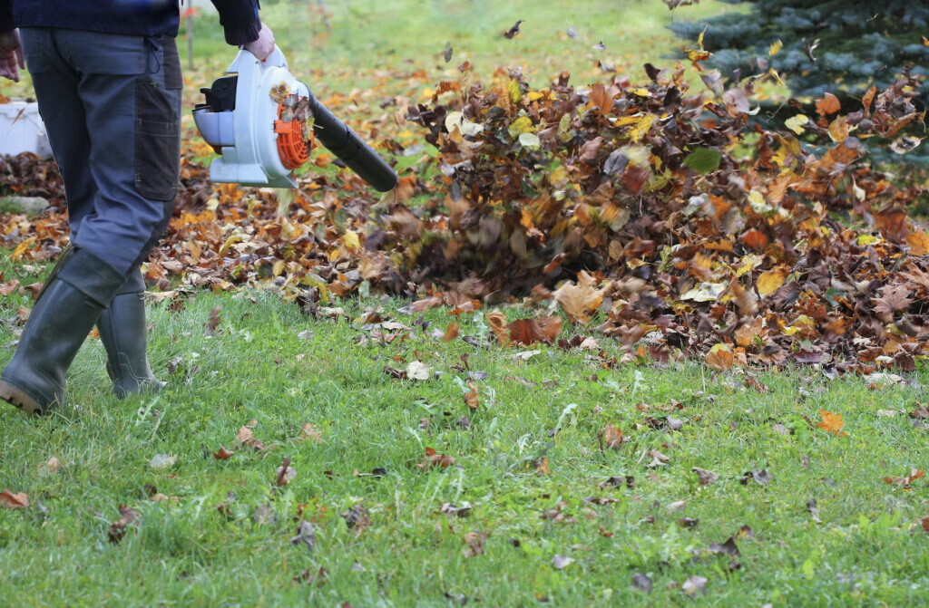 Bilder Reex Services