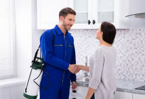 Bilder ABH-Schädlingsbekämpfung