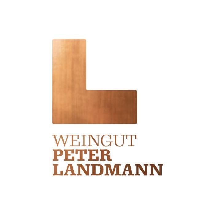 Weinbrunnen / Weingut Peter Landmann Logo