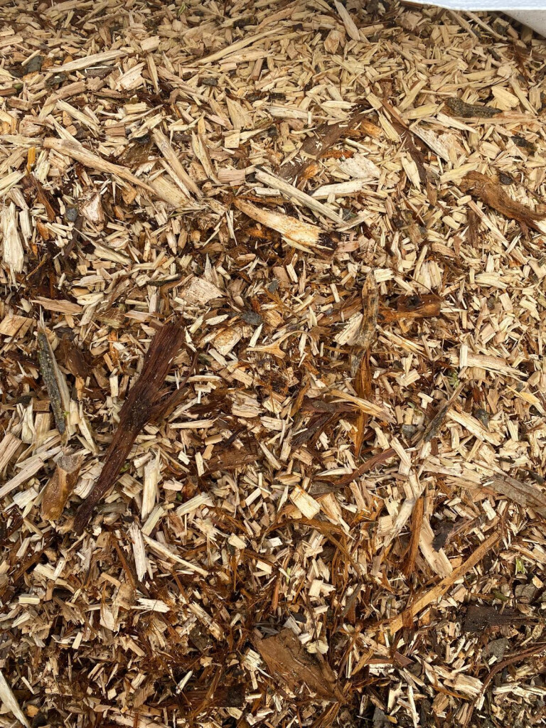 Bilder Garten & Landschaftsbau Kreativ-Team