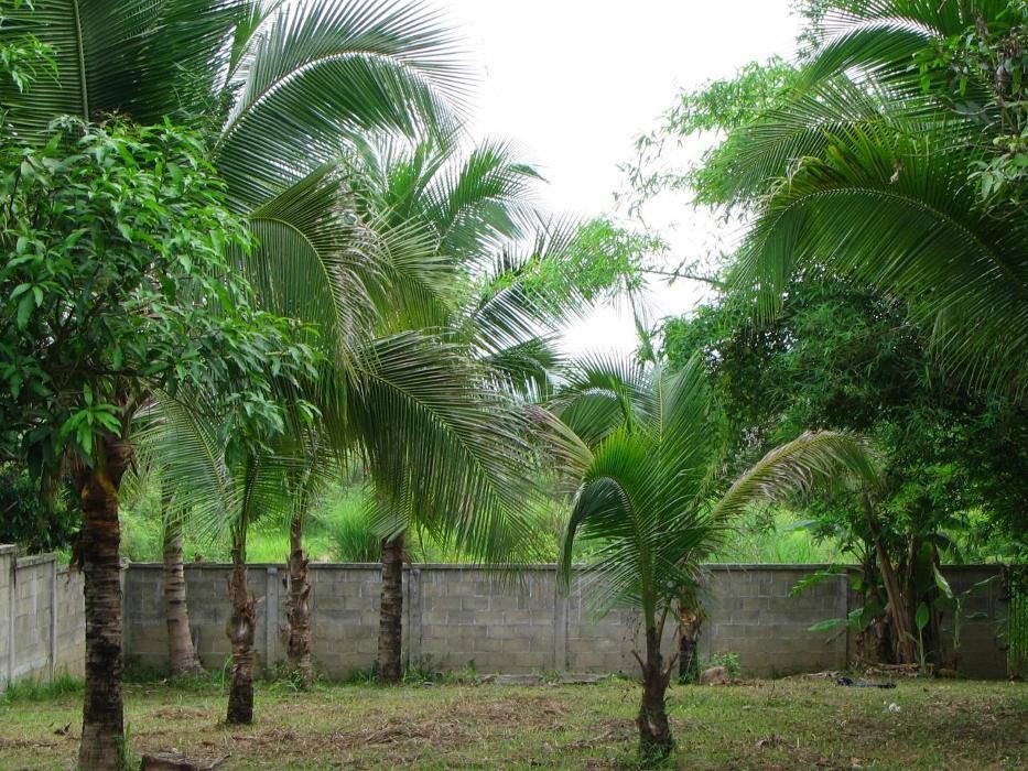 Bilder Thaishop Handarbeit