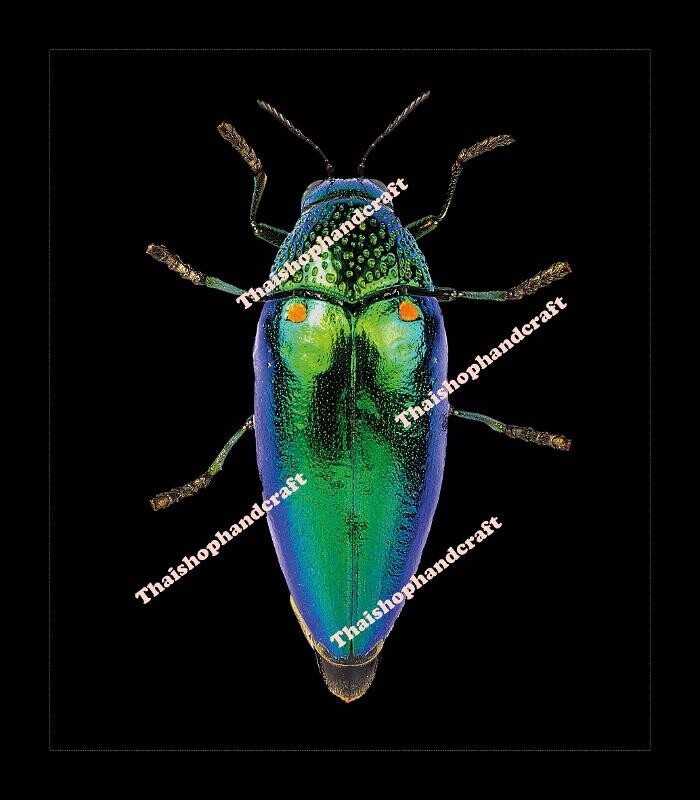 Bilder Thaishop Handarbeit