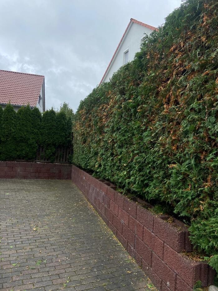 Bilder Forst- und Gartenservice Roller