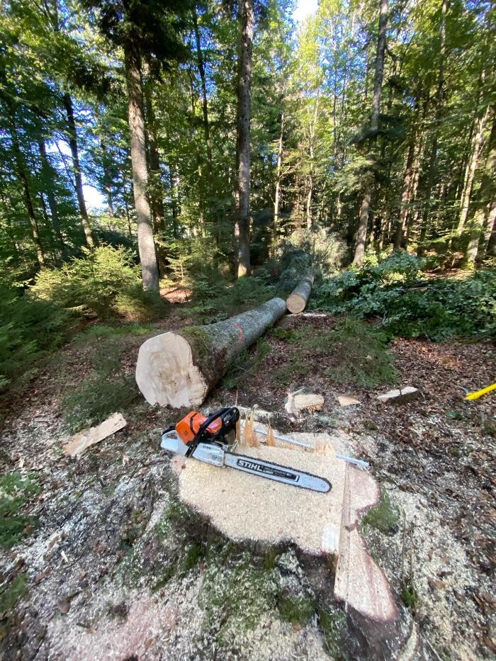 Bilder Forst- und Gartenservice Roller