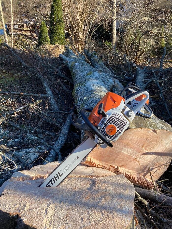 Bilder Forst- und Gartenservice Roller