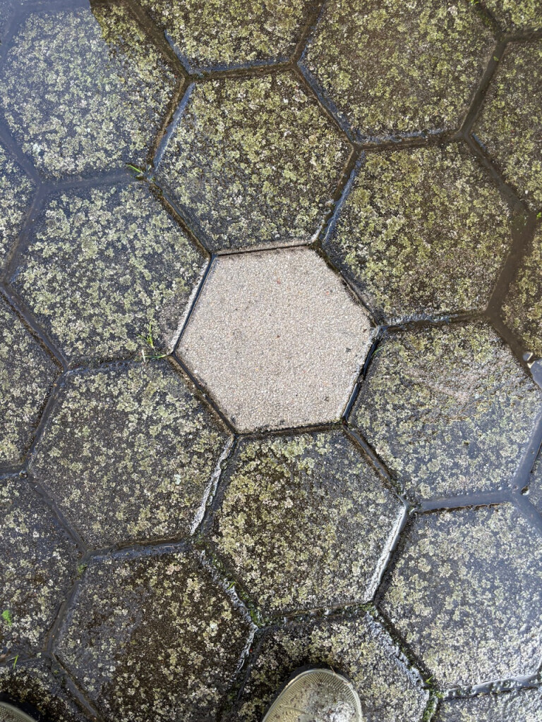 Bilder Hochdruckreinigung Daniel Funk