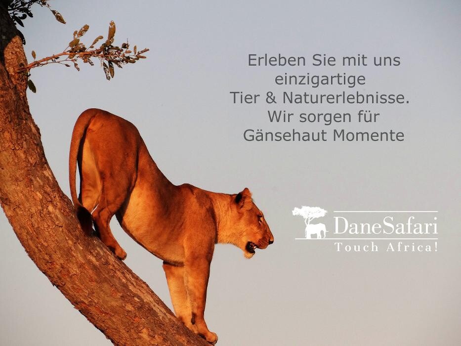 Bilder DaneSafari