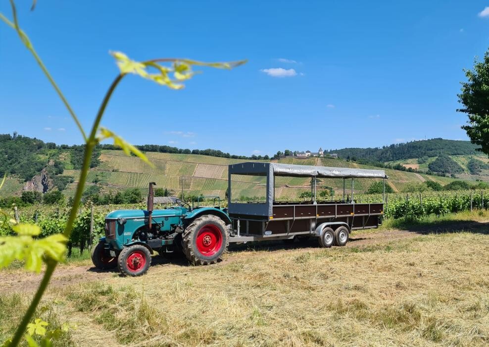 Bilder Weinhotel Lenz