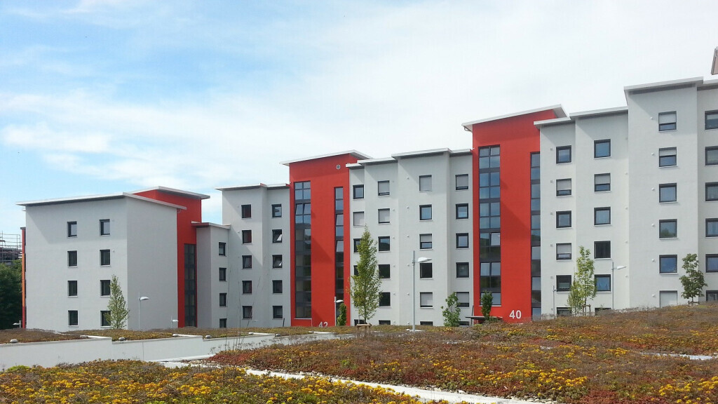 Bilder Malermeister Tobias Ehlers