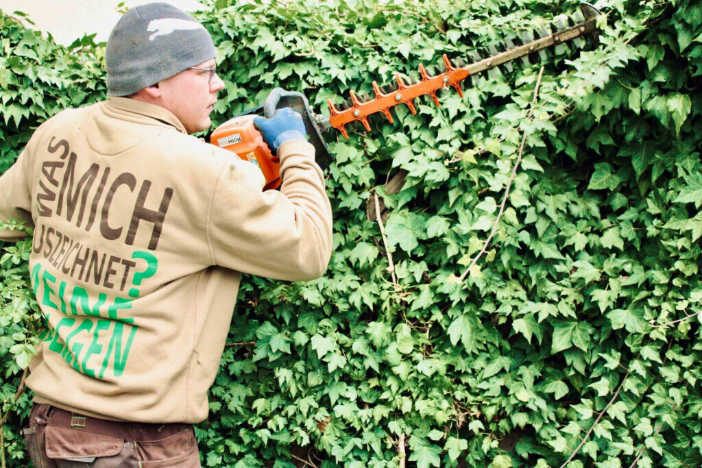 Bilder IK-RundumsHaus