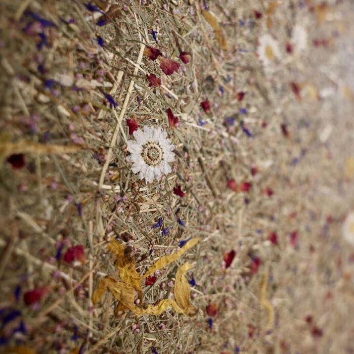 Bilder Hörakustik Vollbach