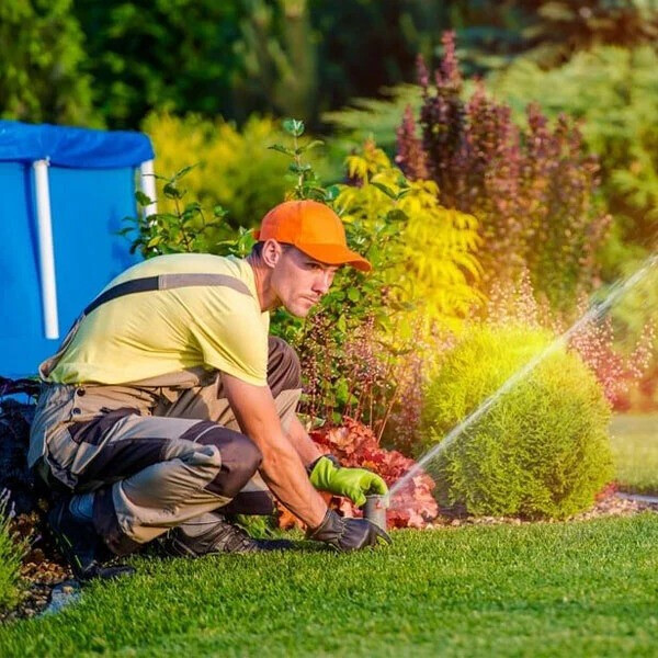 Bilder Green Crew Waltrop