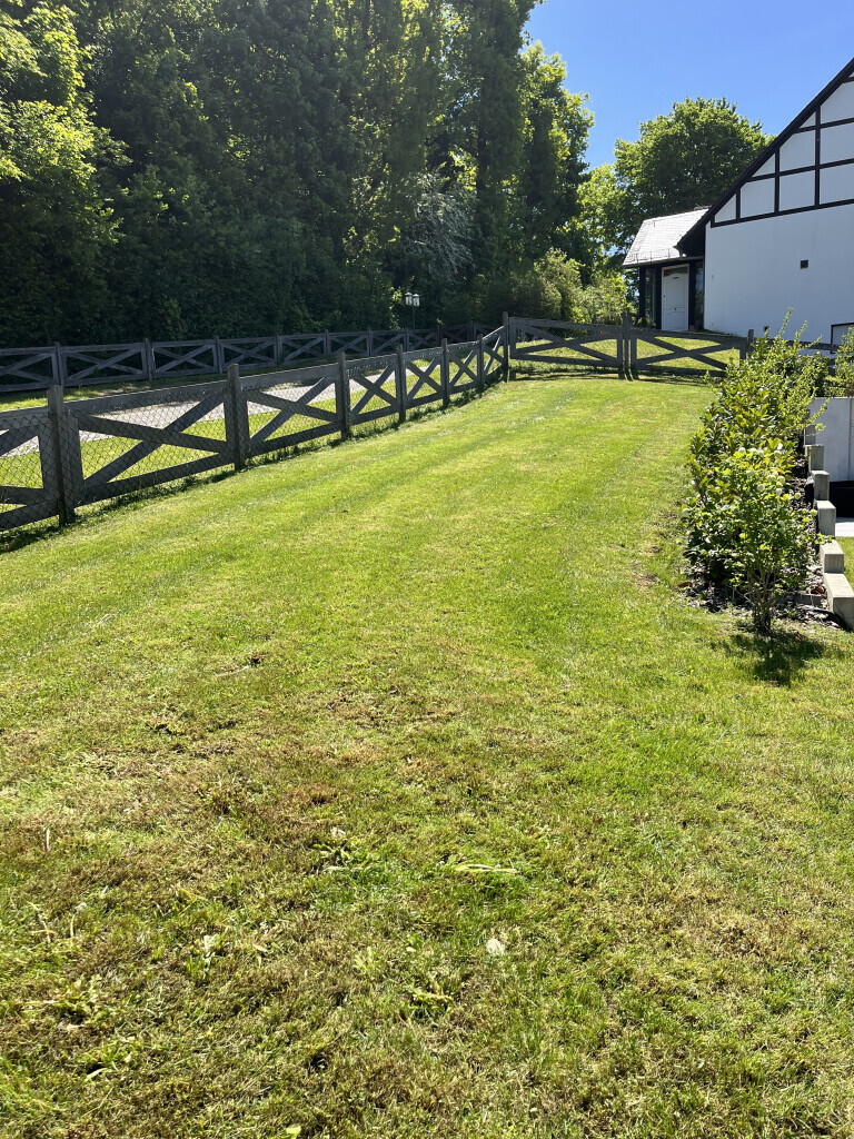 Bilder Green Crew Fulda GmbH