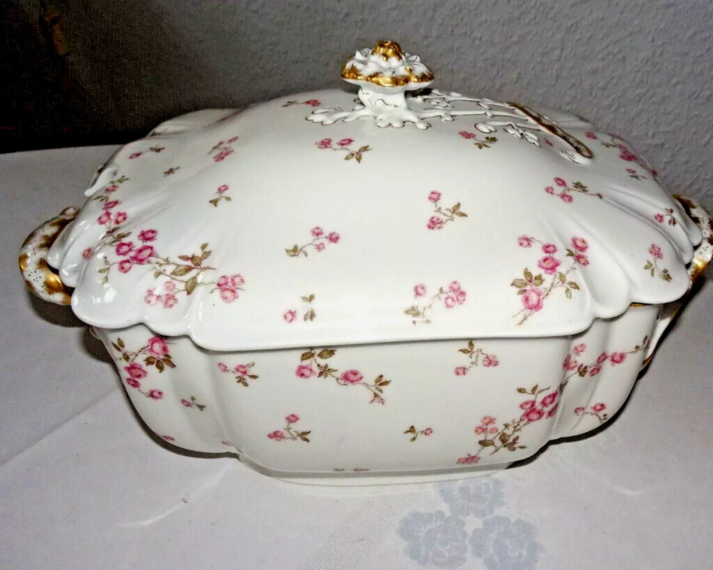 Bilder Hinter der Rosenhecke 64