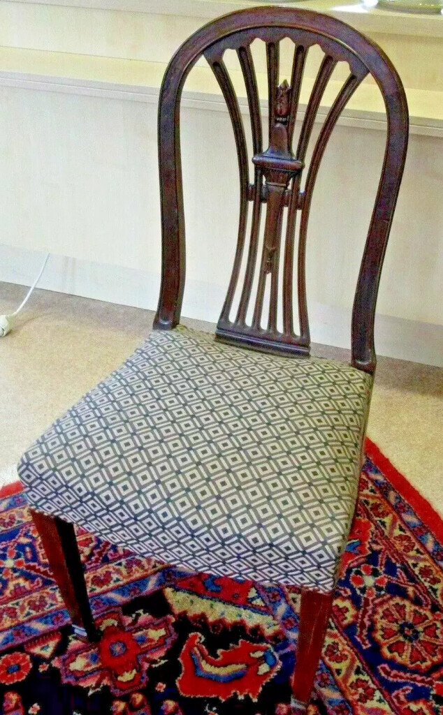 Bilder Hinter der Rosenhecke 64