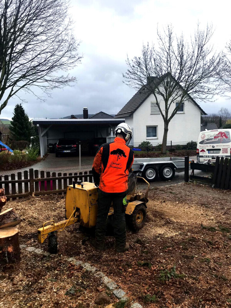 Bilder Dietrichs Baumdienst