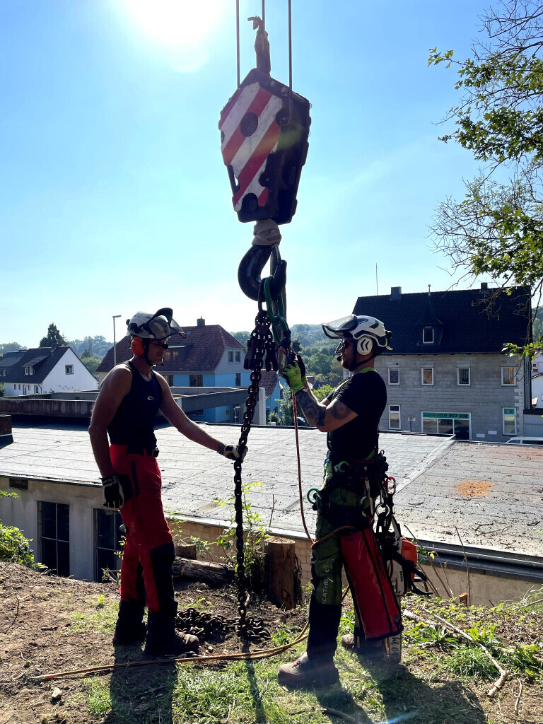Bilder Dietrichs Baumdienst