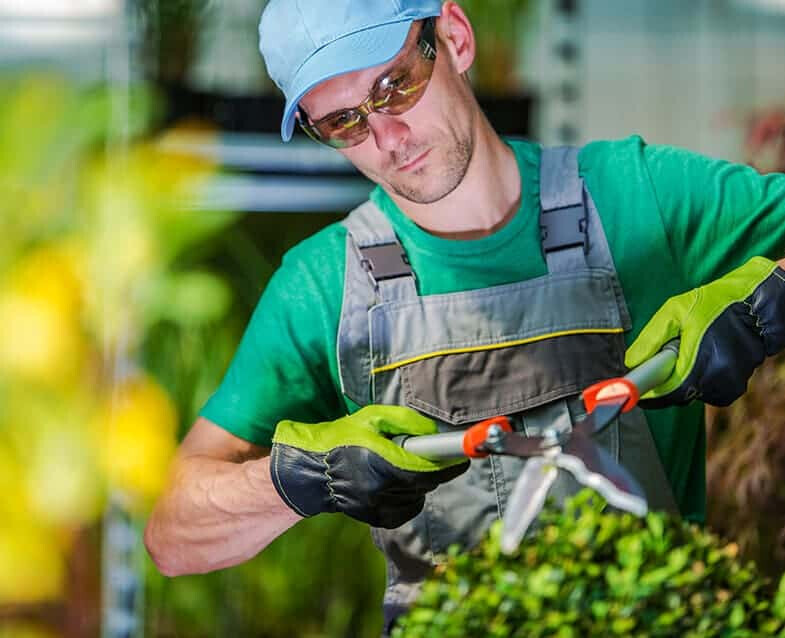Bilder Klaiqi Garten & Landschaftsbau Hausmeisterservice