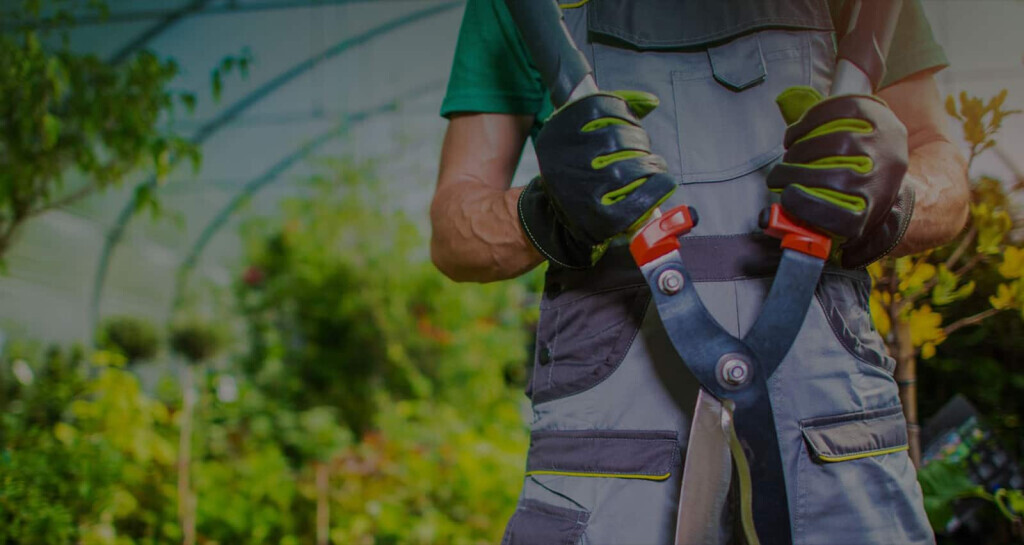 Bilder Klaiqi Garten & Landschaftsbau Hausmeisterservice