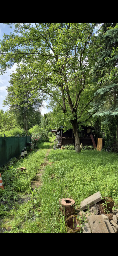 Bilder Hausmeister Service Reinhardt