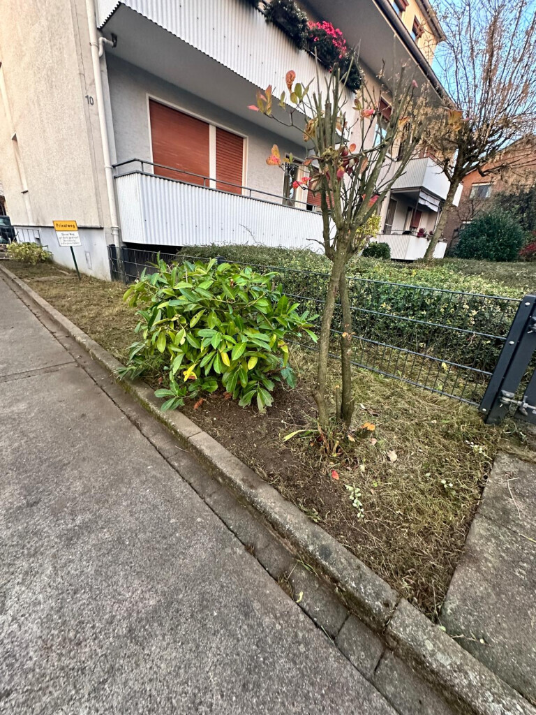 Bilder Gebäudereinigung Rama