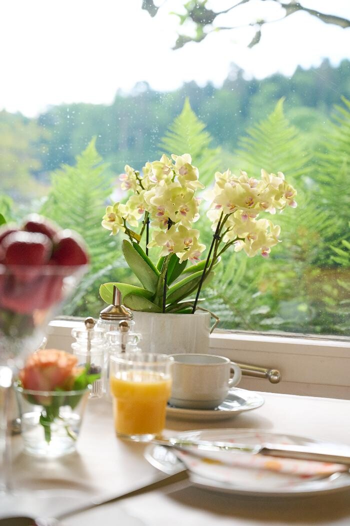 Bilder Hotel Morgensonne