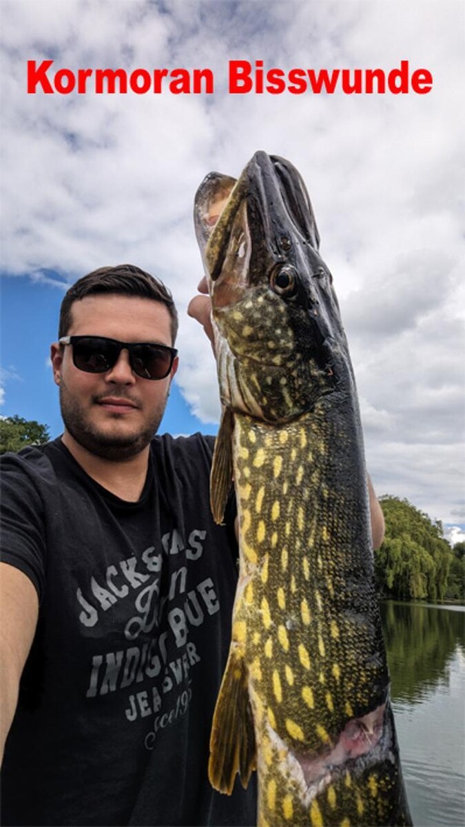 Bilder Angelsport-Starnberg