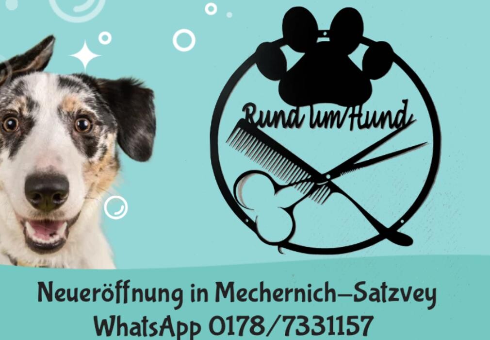 Bilder Rund um Hund Hundefriseur