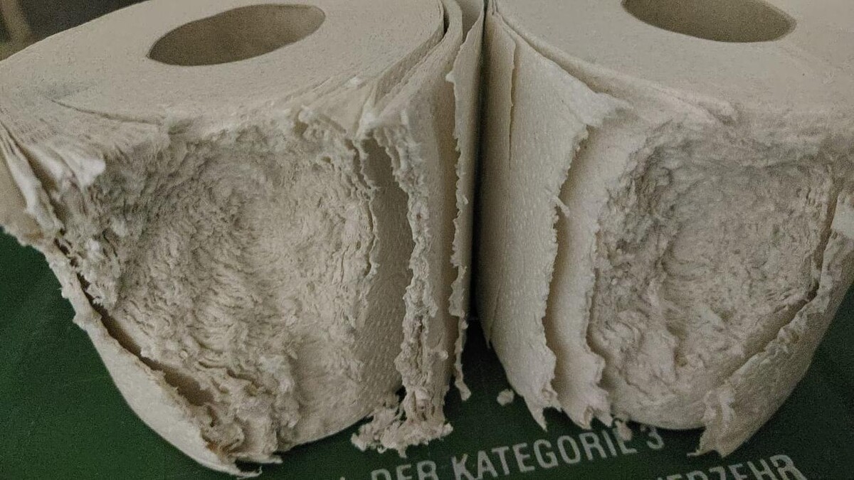 Bilder DETEK Schädlingsbekämpfung & Kammerjäger Bottrop - NRW