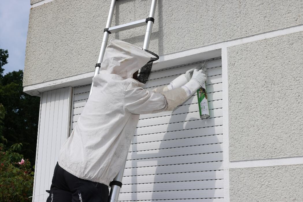 Bilder DETEK Schädlingsbekämpfung & Kammerjäger Bottrop - NRW