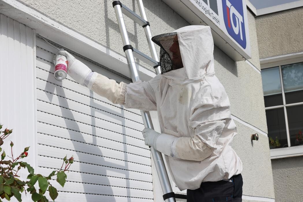 Bilder DETEK Schädlingsbekämpfung & Kammerjäger Bottrop - NRW