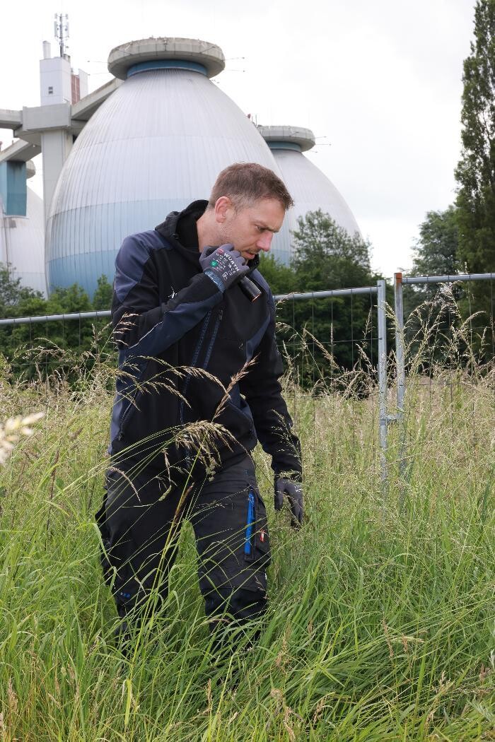 Bilder DETEK Schädlingsbekämpfung & Kammerjäger Bottrop - NRW