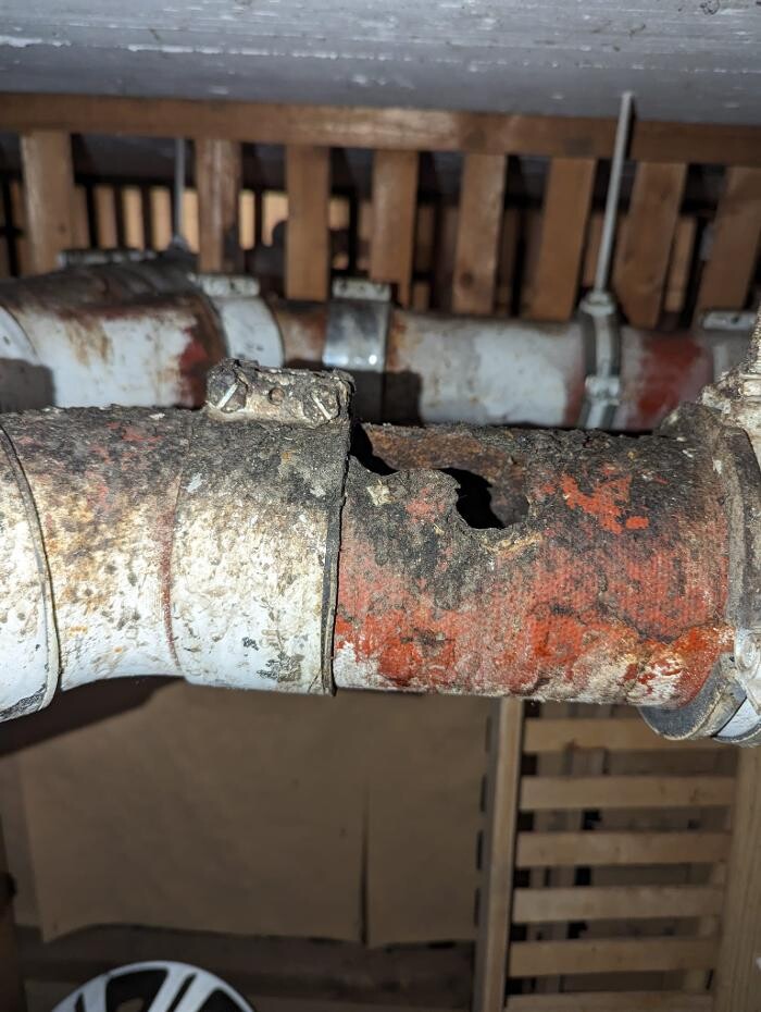 Bilder DETEK Schädlingsbekämpfung & Kammerjäger Bottrop - NRW