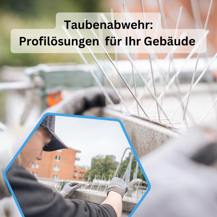 Bilder DETEK Schädlingsbekämpfung & Kammerjäger Bottrop - NRW