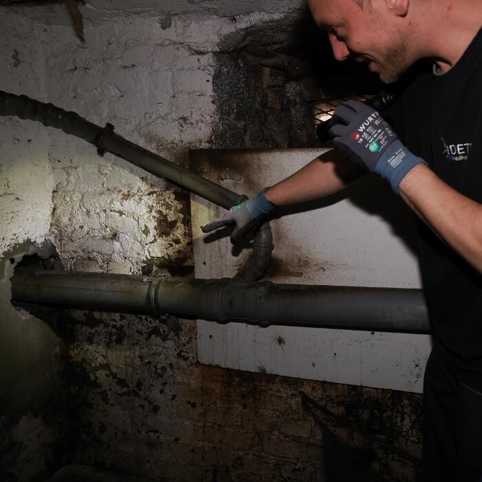 Bilder DETEK Schädlingsbekämpfung & Kammerjäger Bottrop - NRW