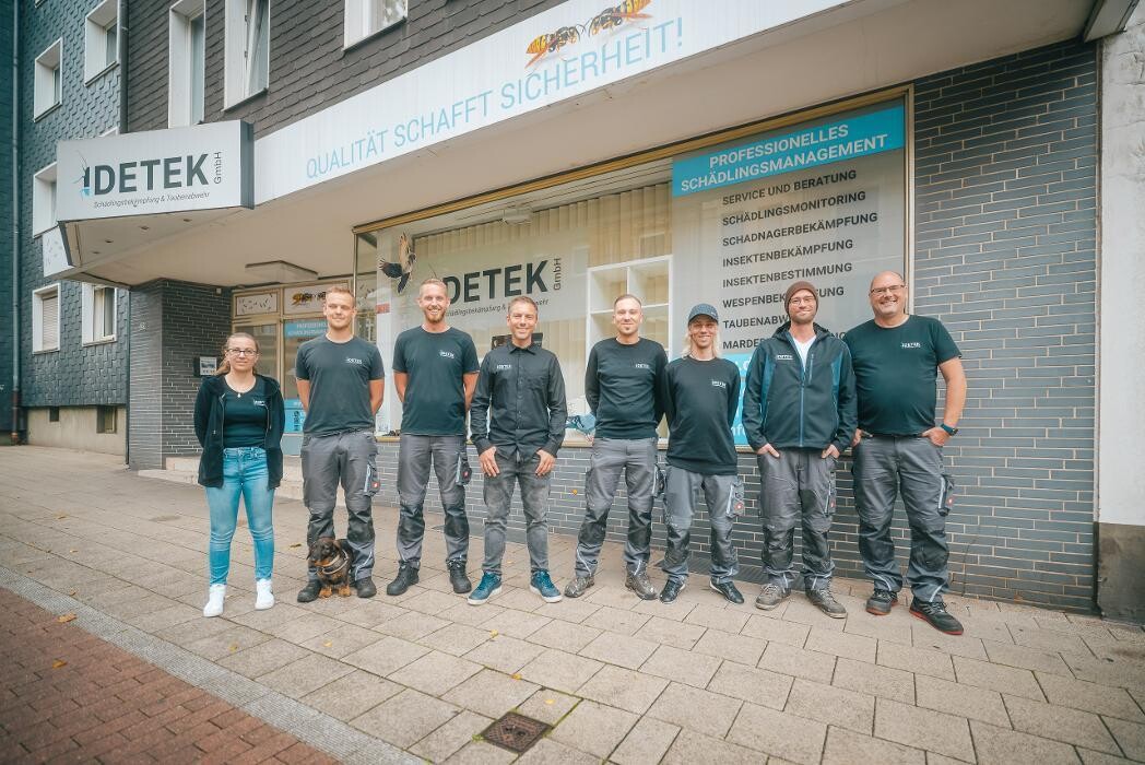 Bilder DETEK Schädlingsbekämpfung & Kammerjäger Bottrop - NRW