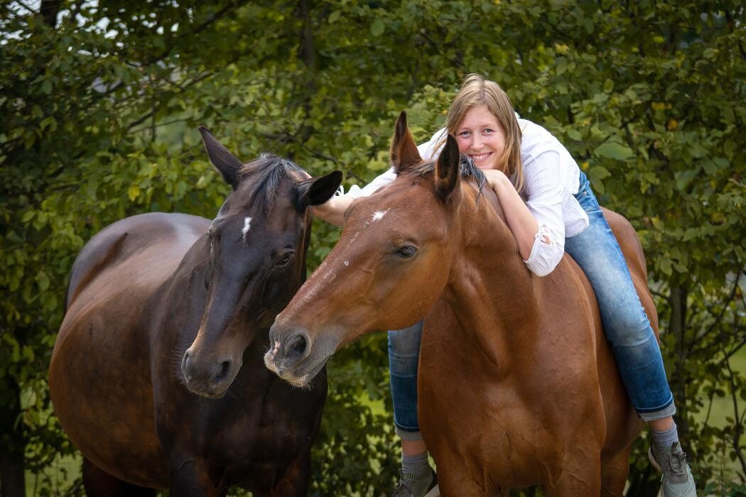 Bilder Pferdetierärztin Carolin Pirschel
