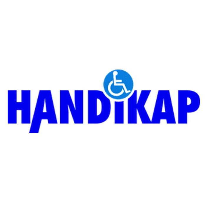 Handikap gGmbH Logo
