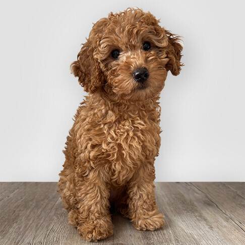 Bilder immovario - Immobilien GmbH