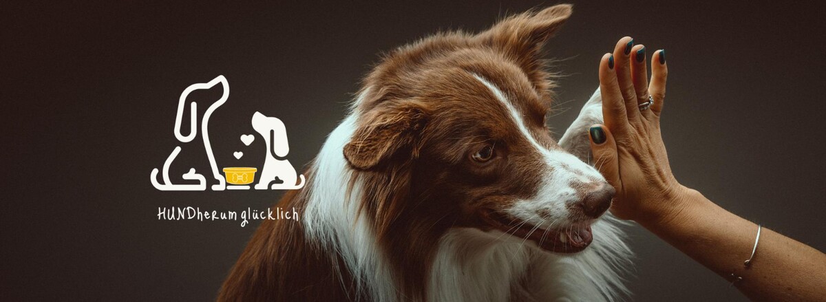 Bilder HUNDherum glücklich mit Hundefutter-Vergleich24 | ANIfit