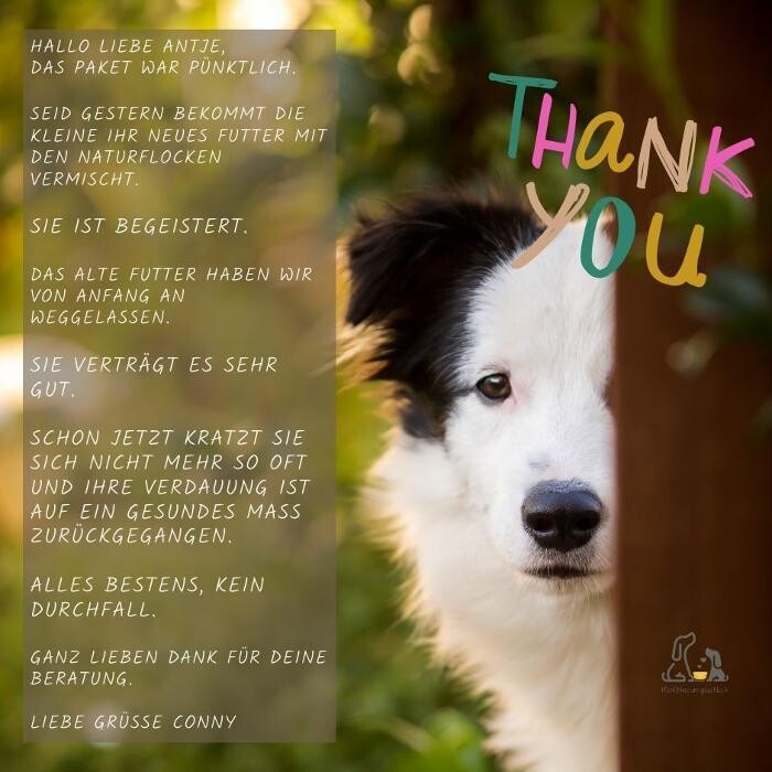 Bilder HUNDherum glücklich mit Hundefutter-Vergleich24 | ANIfit