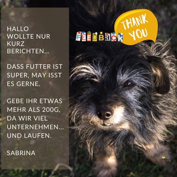 Bilder HUNDherum glücklich mit Hundefutter-Vergleich24 | ANIfit