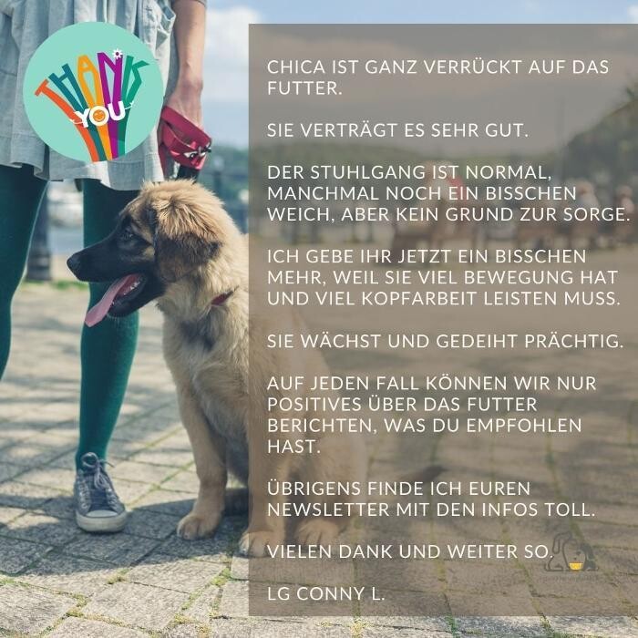 Bilder HUNDherum glücklich mit Hundefutter-Vergleich24 | ANIfit