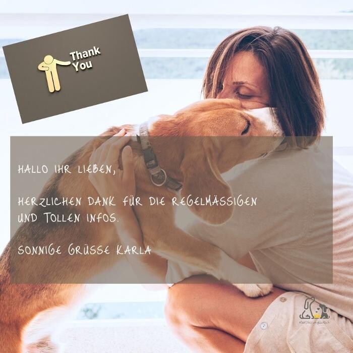 Bilder HUNDherum glücklich mit Hundefutter-Vergleich24 | ANIfit