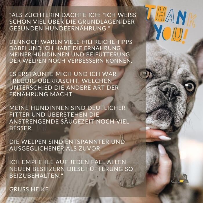 Bilder HUNDherum glücklich mit Hundefutter-Vergleich24 | ANIfit