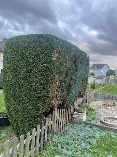 Bilder J&T Garten&TerrassenHelden