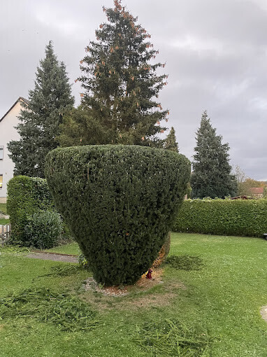 Bilder J&T Garten&TerrassenHelden