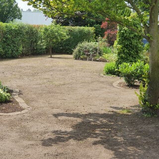 Bilder King of Greens