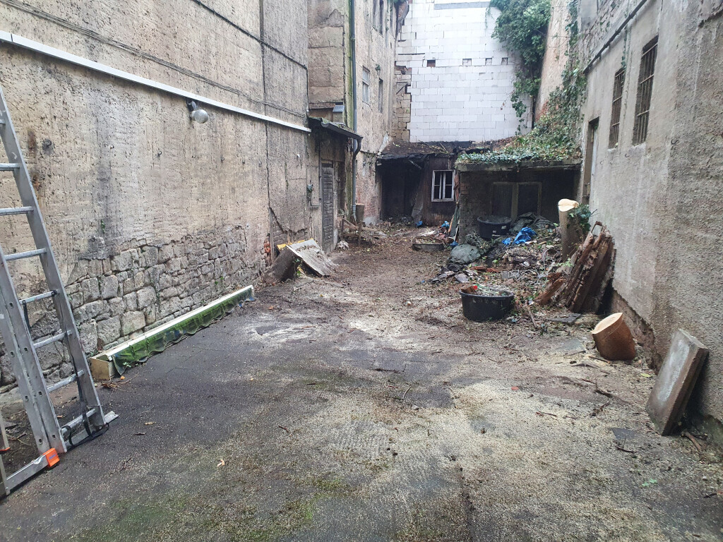 Bilder King of Greens